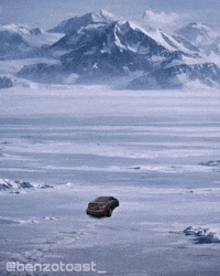 Penguin Mercedes GIF