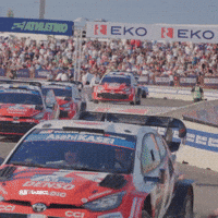 Rally Cars Racing GIF by FIA World Rally Championship