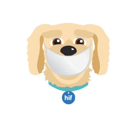 Dog Reaction Sticker by HIF Australia