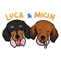 Dog Luca Sticker