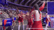 Happy Dance GIF by Volleyball World