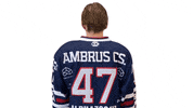 Hockey Ice GIF by Fehervar AV19