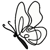 Butterfly Motyl Sticker