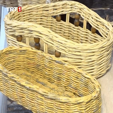 Go Get Out GIF by TRT