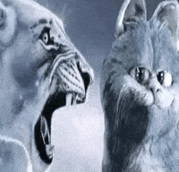 Wh1Msical GIF