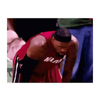 Lebron James Basketball Sticker