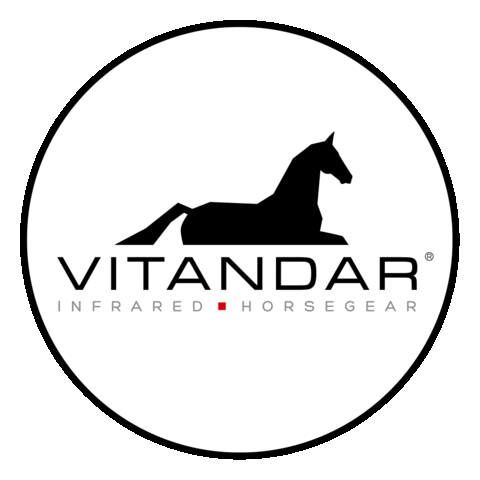 Horse Pony Sticker by vitandar