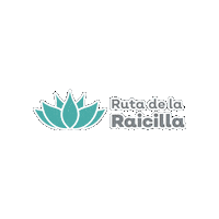 Raicilla Sticker by Secturjal