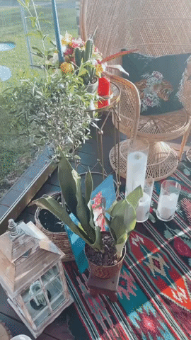 PolinaUkr giphygifmaker GIF