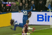 Premier League Fight GIF