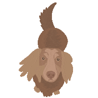 Wiener Dog Puppy Sticker by TequeNYC