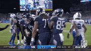 Tennessee Titans Football GIF by NFL