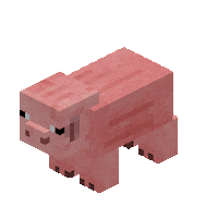 Pig Cerdo Sticker