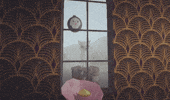 GIF by erica shires