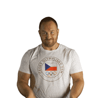 Czech Republic Facepalm GIF by Český olympijský tým
