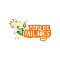 Festa Junina Nordeste Sticker by brfsadia