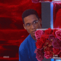 GIF by Big Brother After Dark