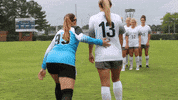 Wethebeach Virginiawesleyan GIF by VWU Marlins