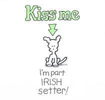 St Patricks Day Irish GIF by Chippy the Dog