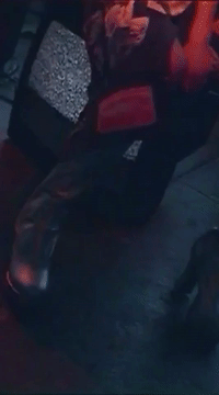 wait GIF by Chantel Jeffries