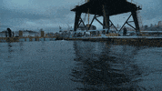 mr freeze fox GIF by Gotham