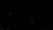 Logo Fire GIF by THE BEARD STRUGGLE