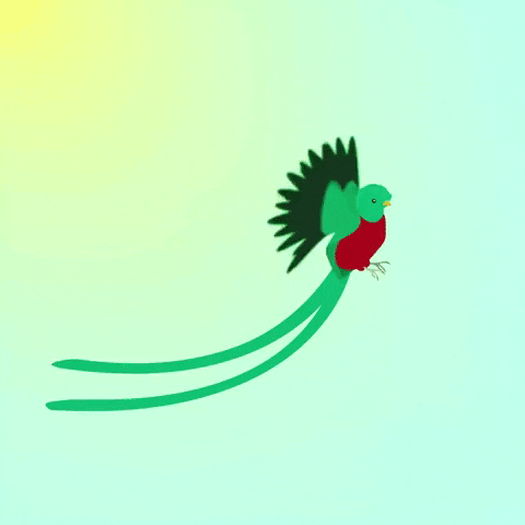 mathijspeerlings giphyupload GIF