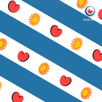 Whats Happening What GIF by Omrop Fryslân