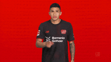Bayer Leverkusen GIF by Bundesliga