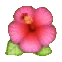 pink flower STICKER by imoji