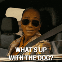Driving Sonja Sohn GIF by ABC Network