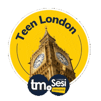 Tm Sticker by TravelMate Intercâmbio