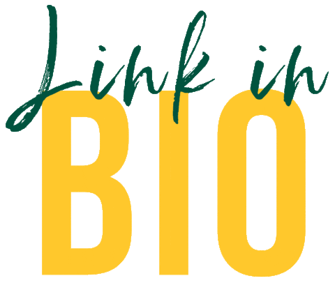 Link In Bio Suny Sticker by Brockport