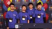 Icpc2017 GIF by icpc