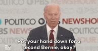 Joe Biden GIF by GIPHY News
