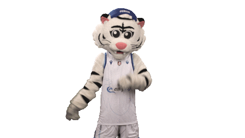 Basketball Thunder Sticker by Donar Official