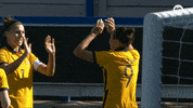 Caitlin Foord Win GIF by Football Australia