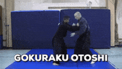 martial arts mma GIF by AKBAN Academy