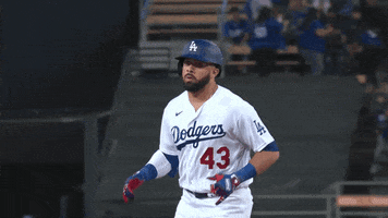 La Dodgers Sport GIF by MLB