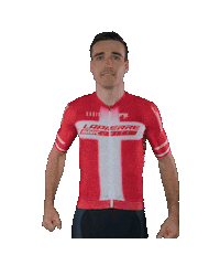 National Champion Sport Sticker by Lapierre Mavic Unity