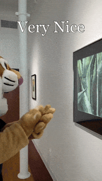 College Applause GIF by Mount Vernon Nazarene University