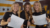 Loyola Softball GIF by LoyolaRamblers