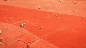 cowboy bebop manga GIF by Flying Lotus