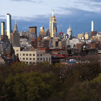 New York Fall GIF by Yevbel