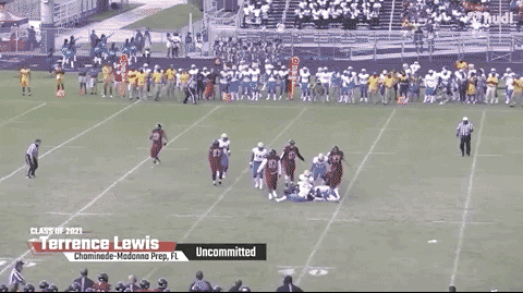 gregsmithe714 giphyupload GIF