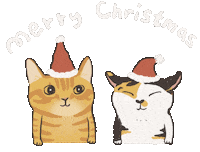 Happy Merry Christmas Sticker