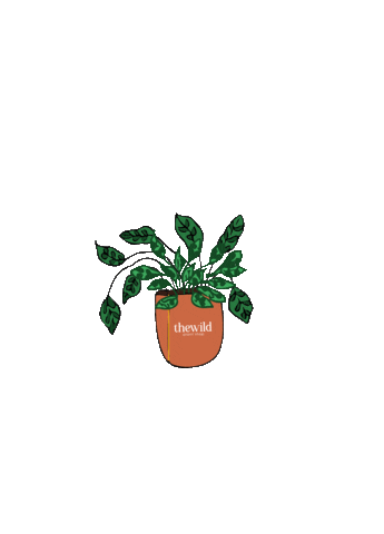 Happy Plant Sticker