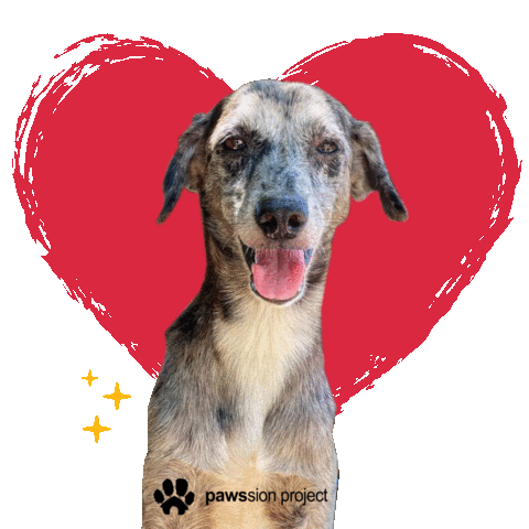 Dog Love Sticker by Pawssion Project Foundation Inc.