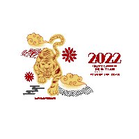 Happy New Year Festival Sticker by 360 Tour Toronto