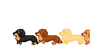 Dog Sticker